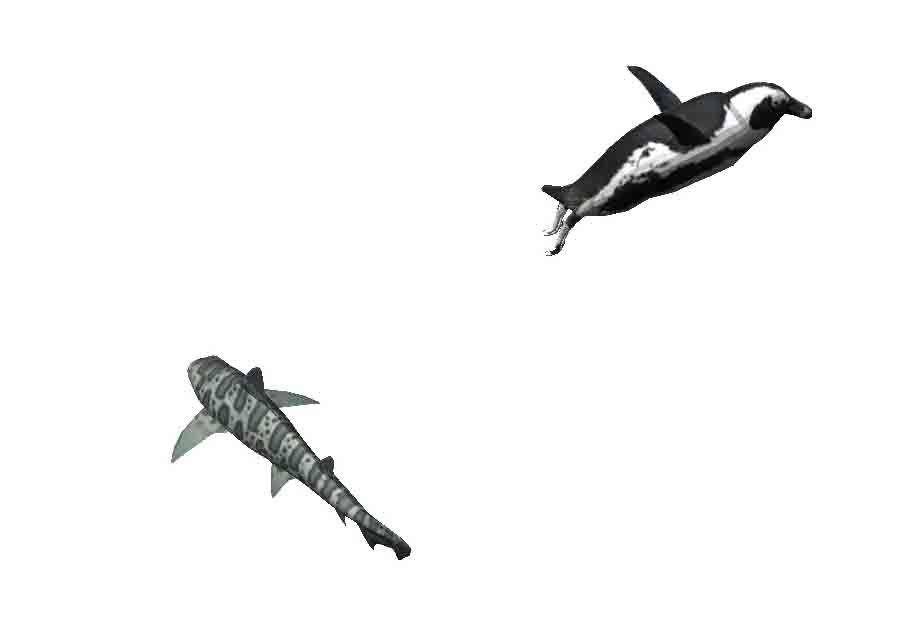 Penguin OpenGL.jpg