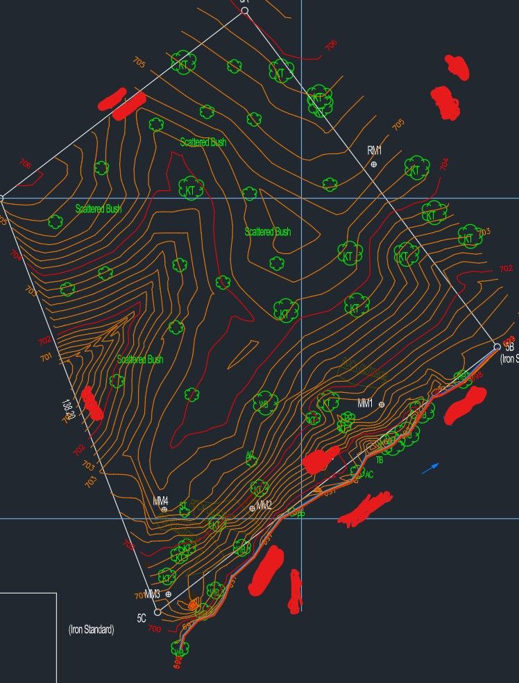 Plan View - Survey.jpg