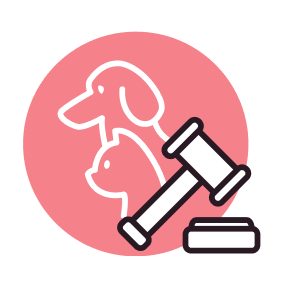 ArchiPET Challenge Jury Member