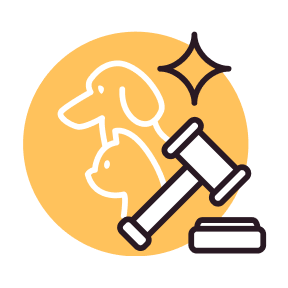 ArchiPET Challenge Champion