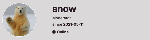 Snow.png
