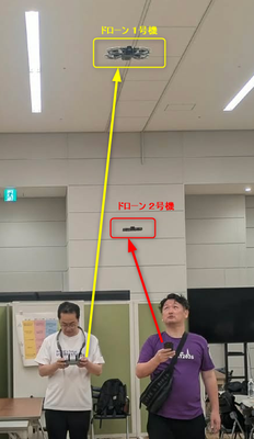 RumikoShimo_5-1782202632789.png