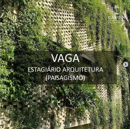 Vaga de trabalho 01.png