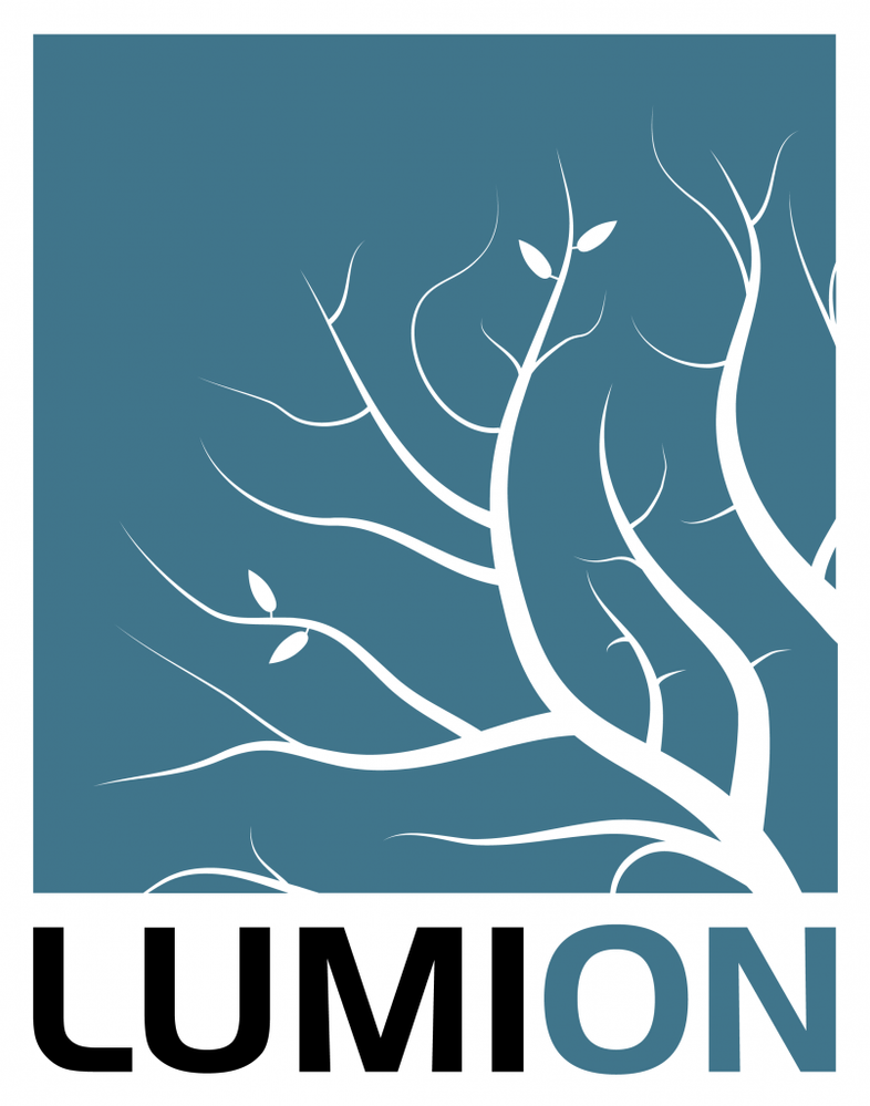 wp-content_uploads_2019_03_Lumion_logo_2017.svg-806x1024.png