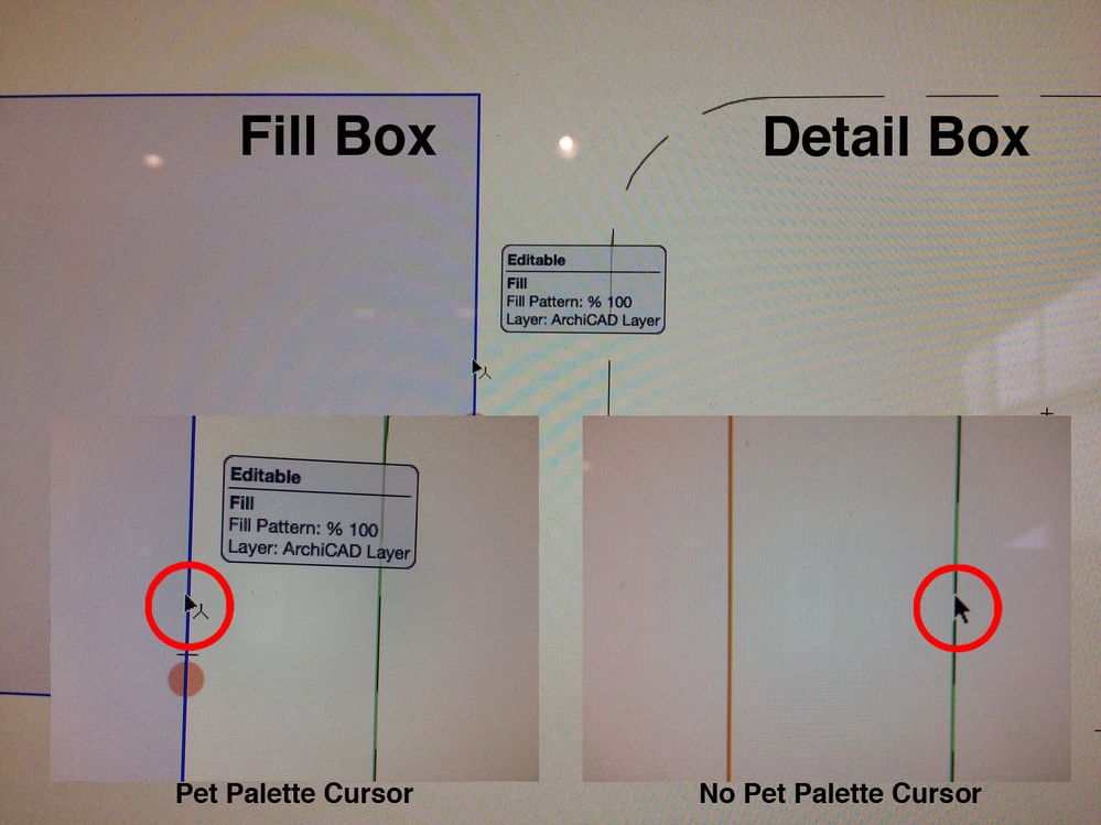 Pet Palette Problem.jpg