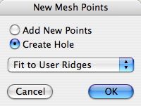 Cut mesh hole.jpg