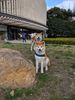 IMG_20190308_082103.jpeg