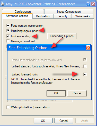 Amyuni Font Settings.png