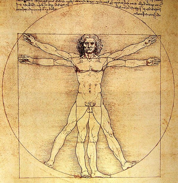 El hombre de Vitruvio.jpg