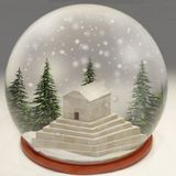 Snow Globe_Sepideh Kolahi.jpeg