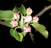 09051.jpg