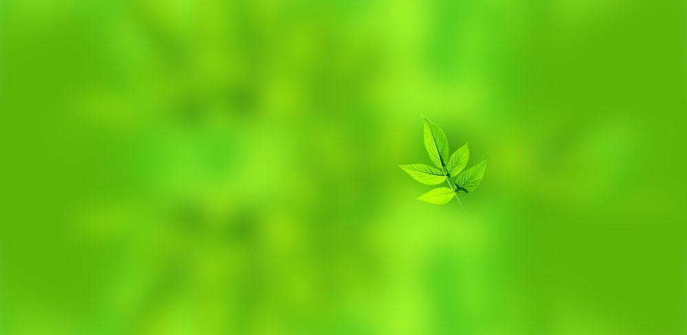 ecodesigner-background2.jpg