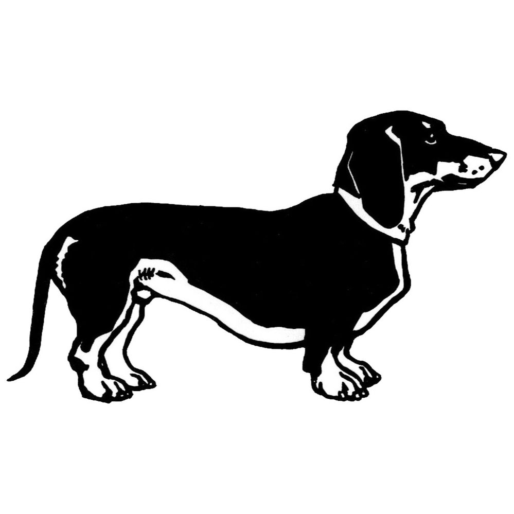 logo_u&p .jpg