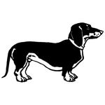 Profile (InstantGlueck)
