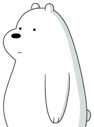 polar.png