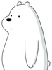 polar.png