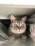 C7F35EB0-F7CF-4F5F-A225-59EE57B1D643.jpeg