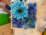IMG_8437.jpeg