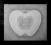 fructul oprit 1a.JPG