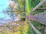 IMG_20201106_155446.jpg