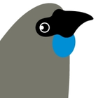 kokako.png