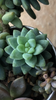 3FA5650E-DC1A-4A4F-A9A6-504B5B5F65A4.png