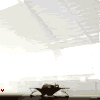 pr3