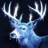 Deer01.jpg