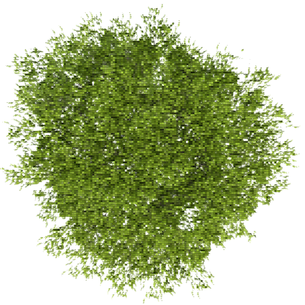 Baum_stil_SCS.png