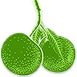 ad logo.png