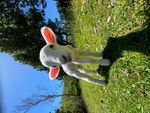 IMG_7263.jpeg