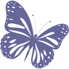 DFi-logo-bfly2-peri.png