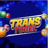 TransLogo.jpg