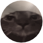 Png.png