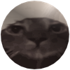 Png.png