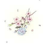 цветник (2).jpg