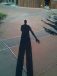 Profile (Matthew MacGillivray)