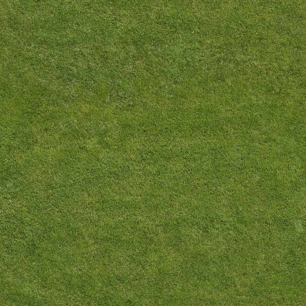 grass_big_03.jpg