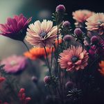Mara_S