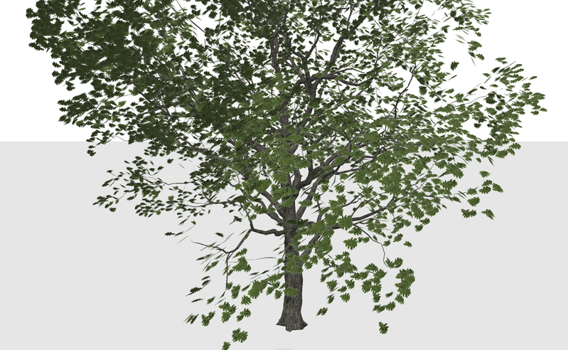 Screenshot 2024-06-29 121953.png