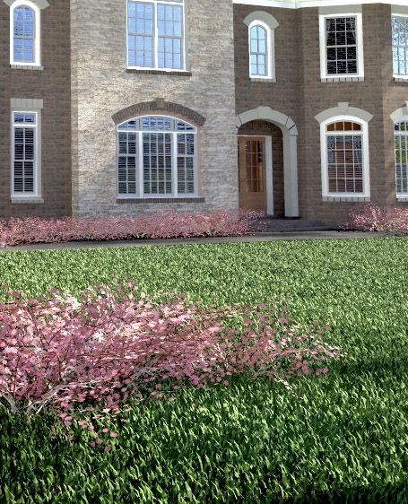 archiradar grass.jpg