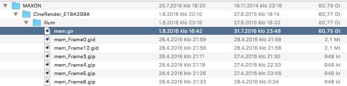 mem_gir.jpg mem_gir.jpg