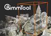 Bimmtool.jpg