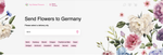 Blog Pages
