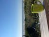 IMG_4929.jpeg