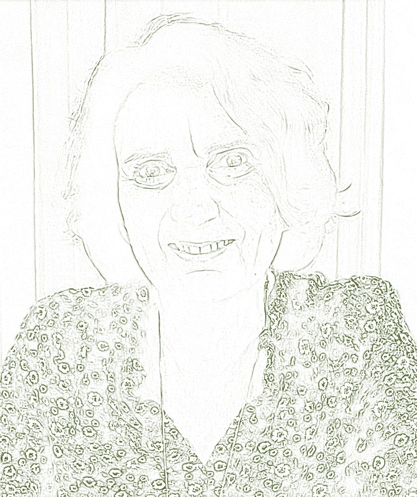 PHOTO KM dessin.jpg