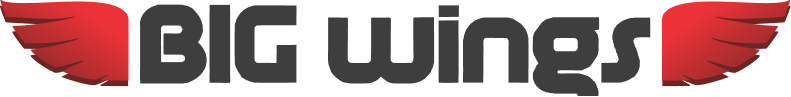 Big Wings Logo-Black.png