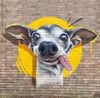 Dippy Dog.JPG
