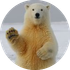 hans-jurgen-mager-qQWV91TTBrE-unsplash.png