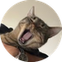 toyo.png